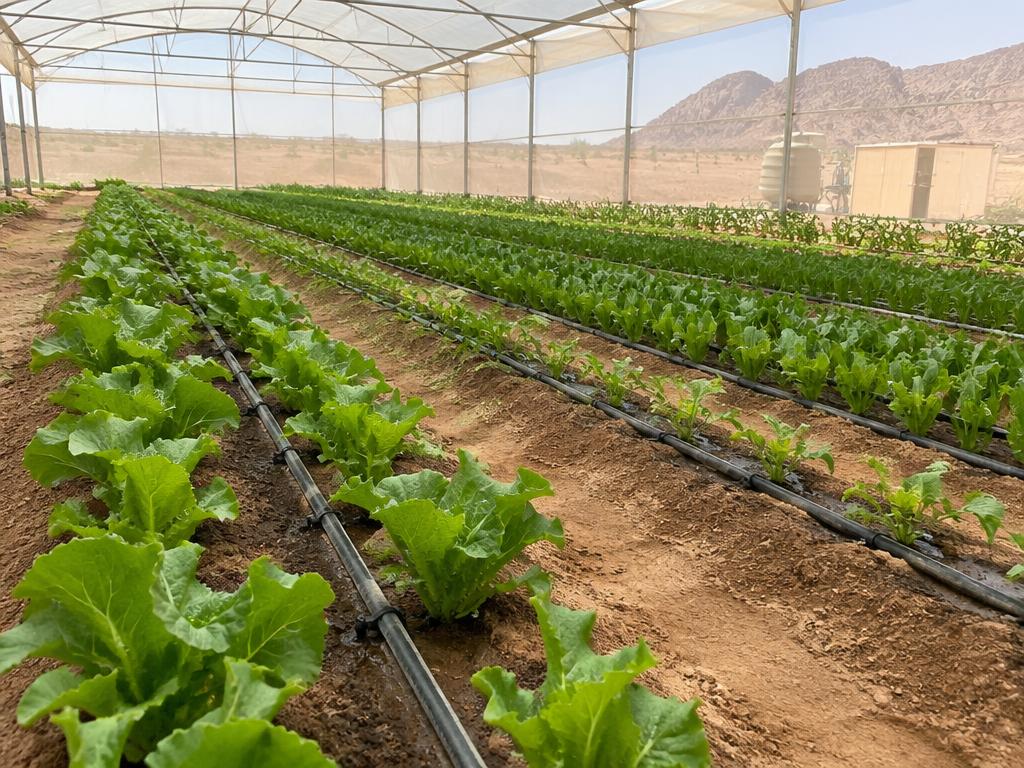 Agriculture
